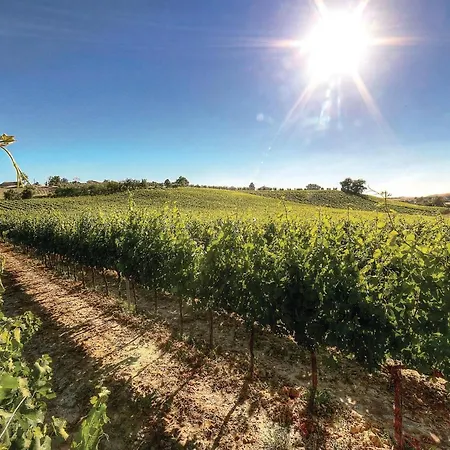 Alessandro - Podere Moricci Montaione